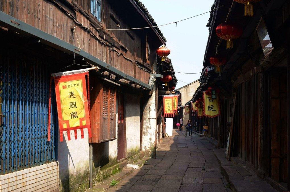 河北省邯郸市永年区《有偿寻猫》——3000寻“美短加白公猫”